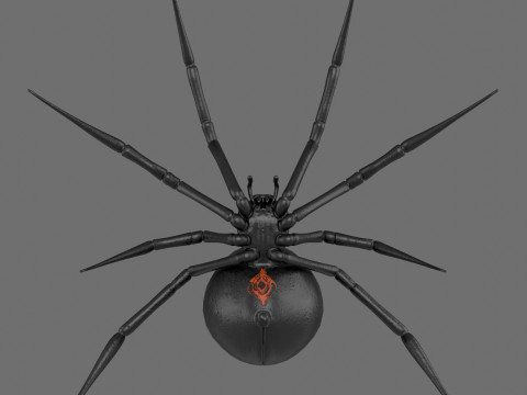 Spider Black Widow Modello 3D