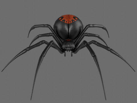 Spider Black Widow 3D Model