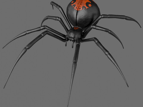 Spider Black Widow Modello 3D