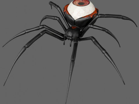 Spider Black Widow 3D Model
