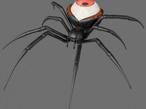 Spider Black Widow 3D Model