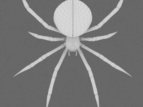 Spider Black Widow 3D Model