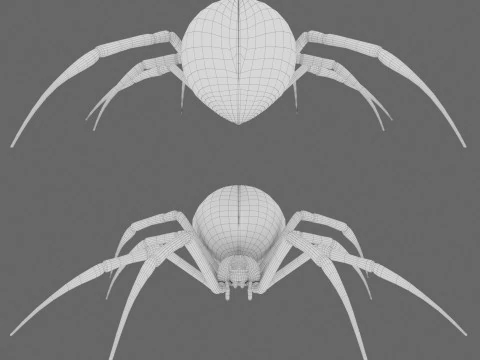Spider Black Widow 3D Model
