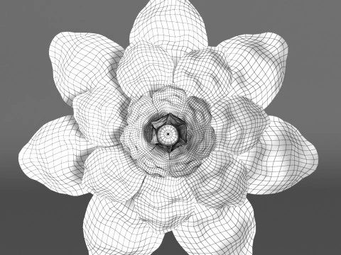 Bijouterie 3D Model