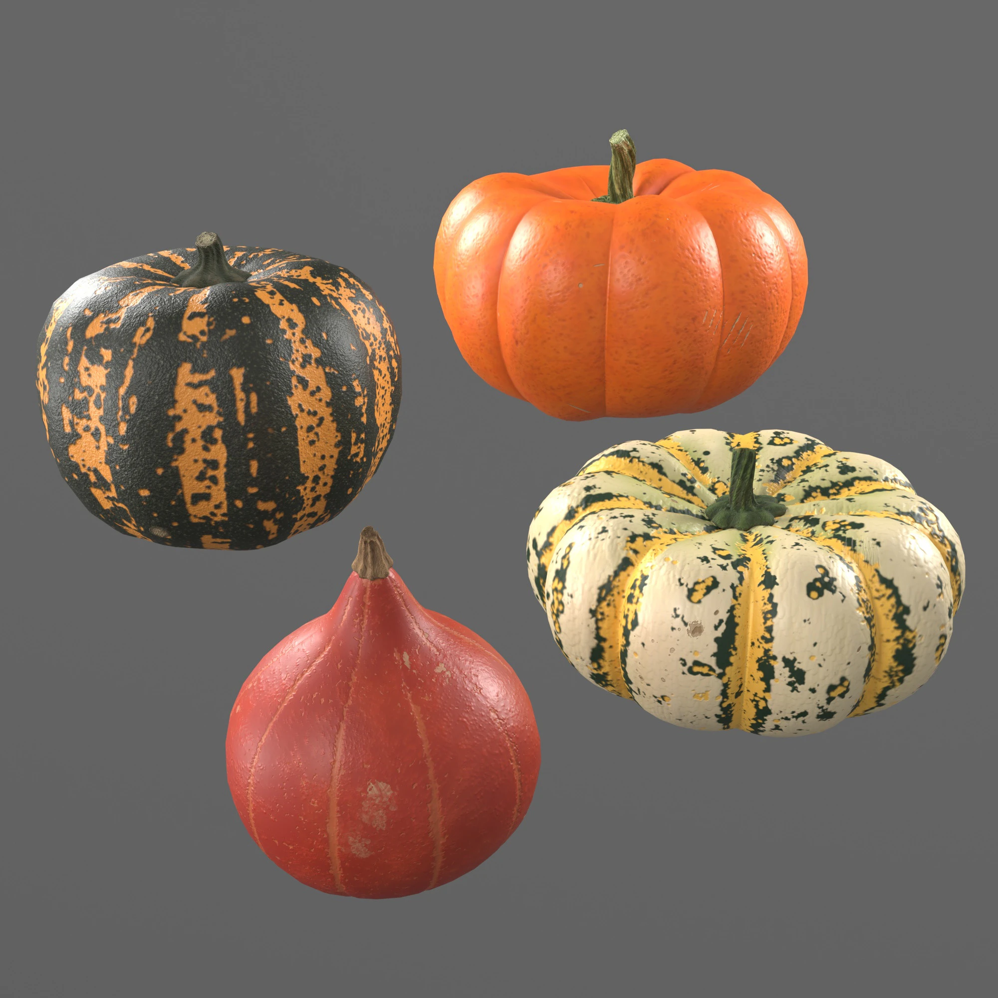 Four varieties of pumpkin gourds 3D Model .c4d .max .obj .3ds .fbx .stl .blend 