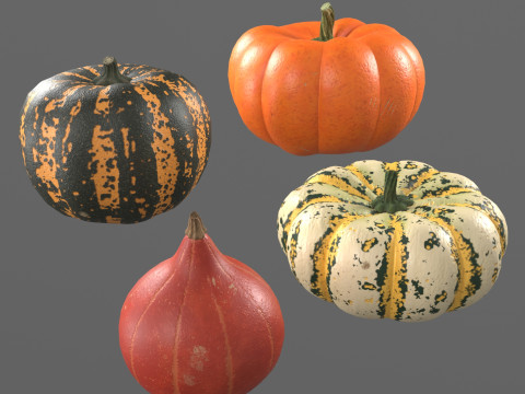 Four varieties of pumpkin gourds 3D 模型