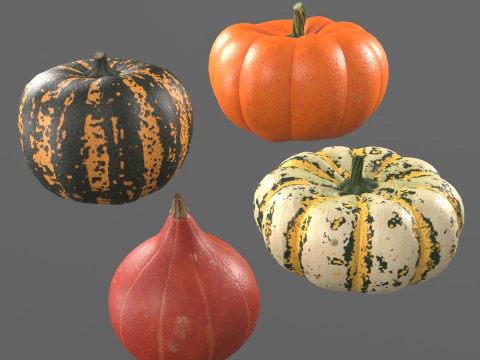 Четыре сорта тыквы 3D Модель