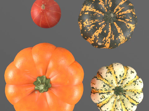 Four varieties of pumpkin gourds 3D Model
