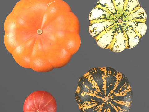 Four varieties of pumpkin gourds 3D Model
