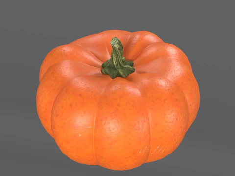 Four varieties of pumpkin gourds 3D Model