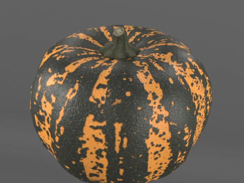 Four varieties of pumpkin gourds 3D Model