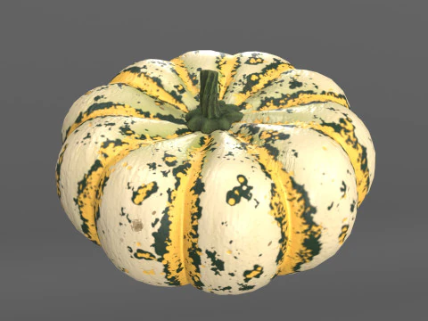 Four varieties of pumpkin gourds 3D Model