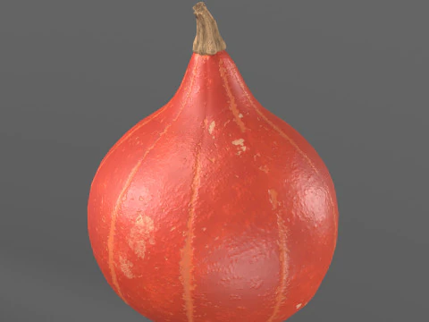 Four varieties of pumpkin gourds 3D Model