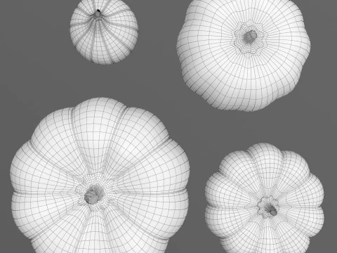 Four varieties of pumpkin gourds 3D Model