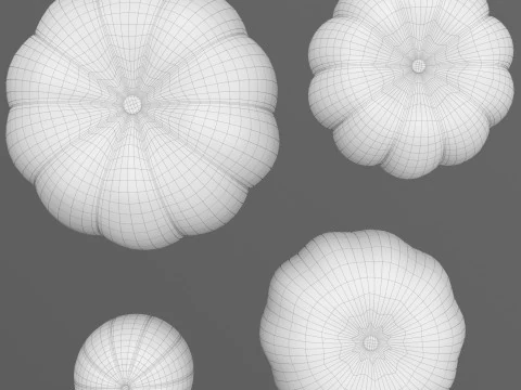 Four varieties of pumpkin gourds 3D Model