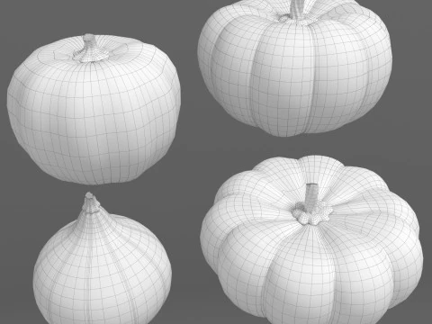 Four varieties of pumpkin gourds 3D Model
