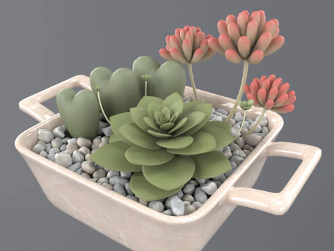 Flower in a pot 3D Model