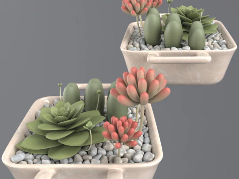 Flower in a pot 3D Model