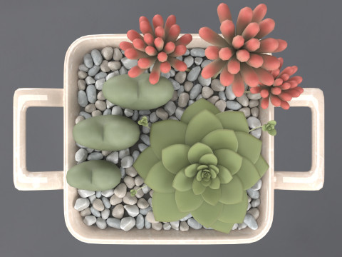 Flower in a pot 3D 모델