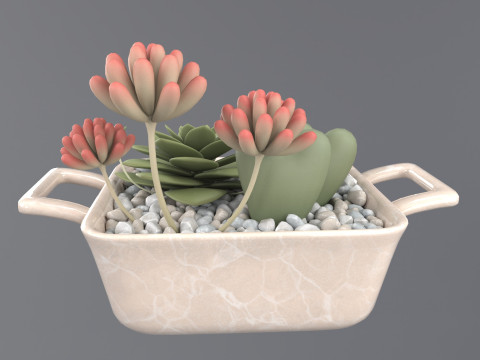 Flower in a pot 3D 모델