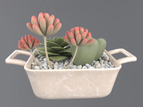 Flower in a pot 3D Model