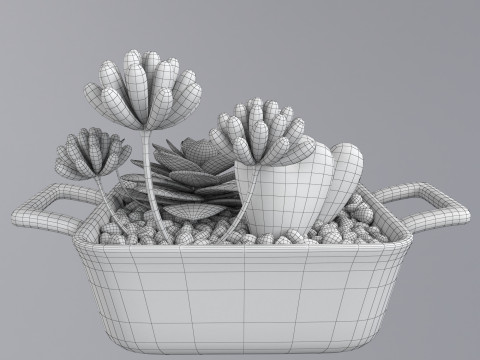 Flower in a pot 3D 모델