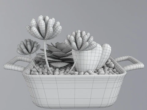 Flower in a pot 3D Model