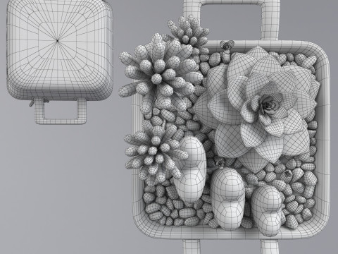 Flower in a pot 3D 모델