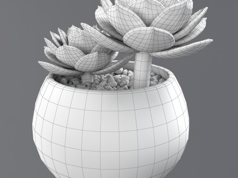 Flower in a pot Modelo 3D
