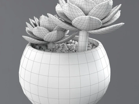 Flower in a pot 3D Model