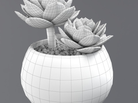 Flower in a pot Modelo 3D