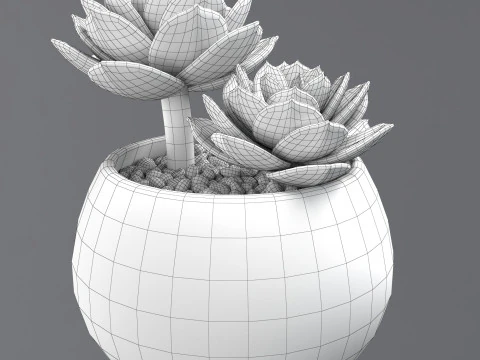 Flower in a pot 3D Model
