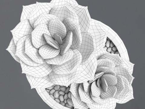 Flower in a pot Modelo 3D