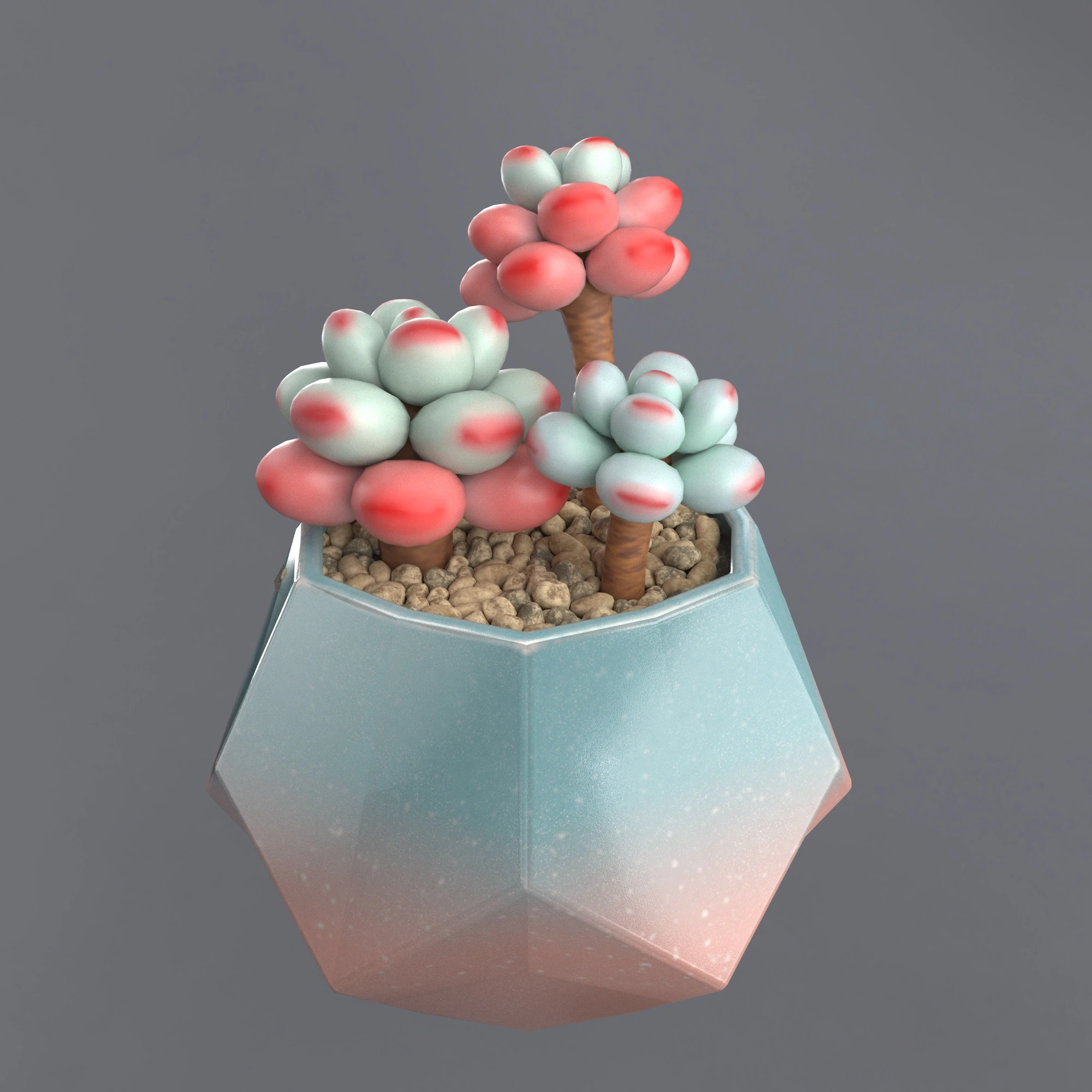 Flower in a pot succulent 3D Model .c4d .max .obj .3ds .fbx .stl .blend