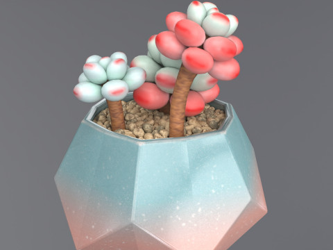 Flower in a pot succulent 3D 模型