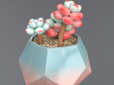 Flower in a pot succulent 3D Model