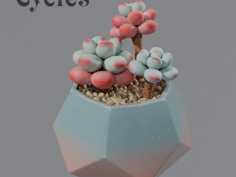 Flower in a pot succulent 3D 模型