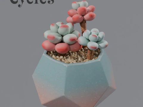 Flower in a pot succulent 3D Model