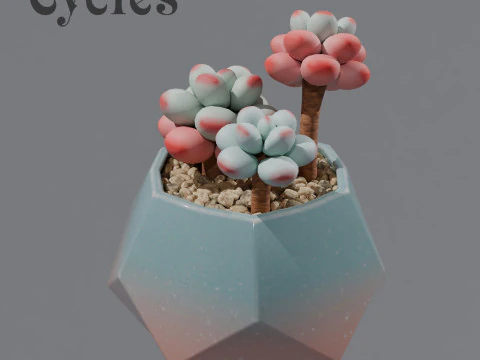 Flower in a pot succulent 3D Model