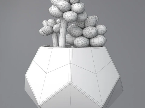 Flower in a pot succulent 3D Model