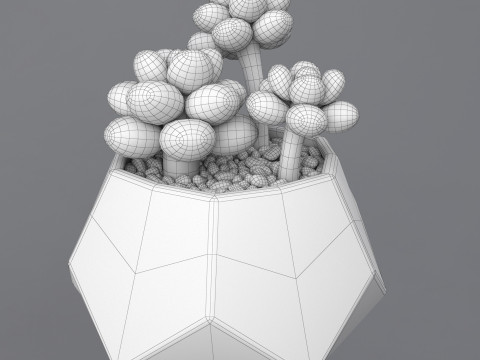 Flower in a pot succulent 3D 模型