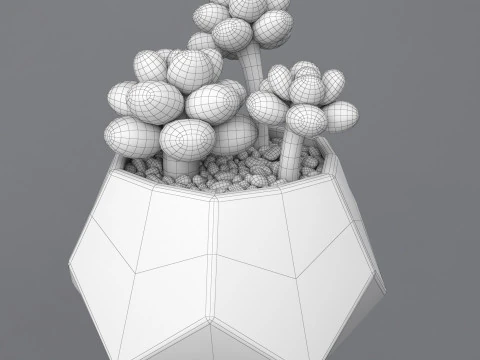 Flower in a pot succulent 3D Model