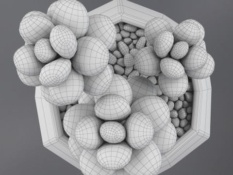 Flower in a pot succulent 3D 模型