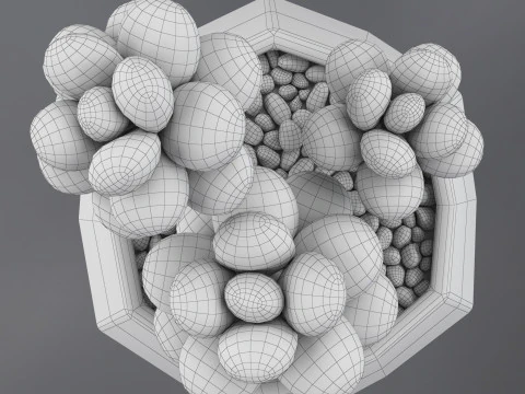 Flower in a pot succulent 3D Model
