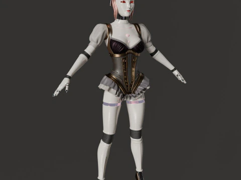 Robot woman 3D Model