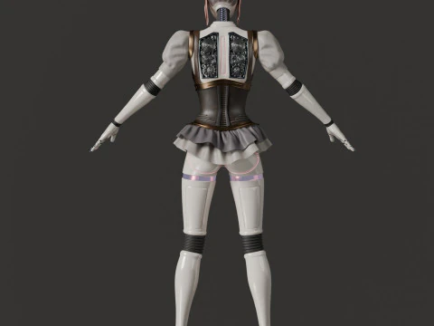 Robot woman 3D Model