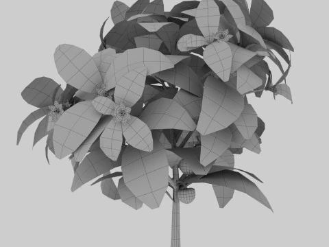 Four types of pepper bushes 3D Model