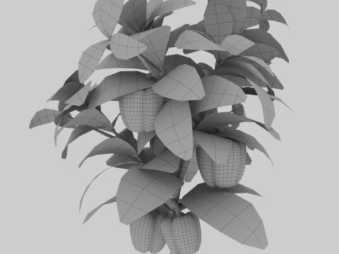 Four types of pepper bushes 3D Model