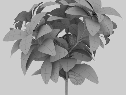 Four types of pepper bushes 3D Model