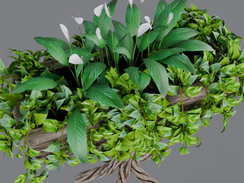 Flowerbed of wood 3D Model